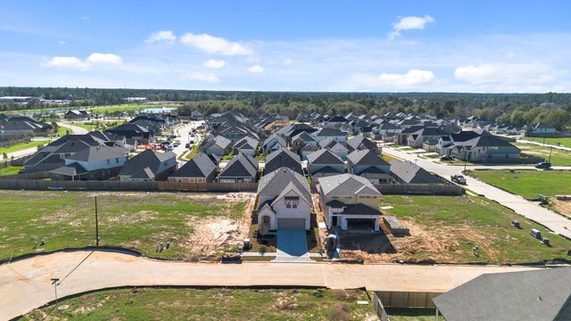 21615 Foxes Trove Trail, Magnolia, TX 77355