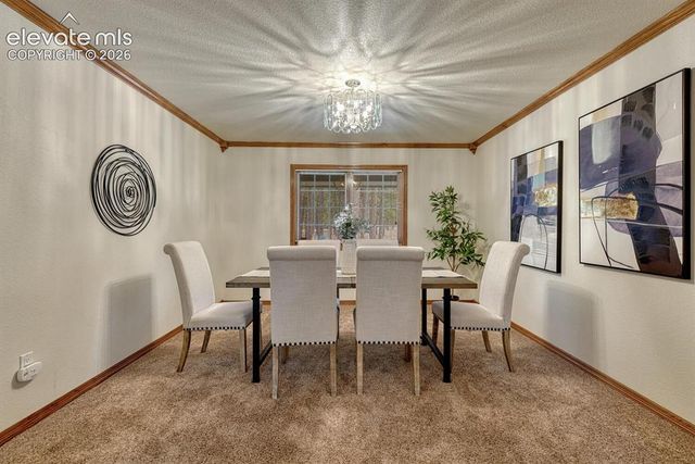 15430 Bar X Road, Colorado Springs, CO 80908