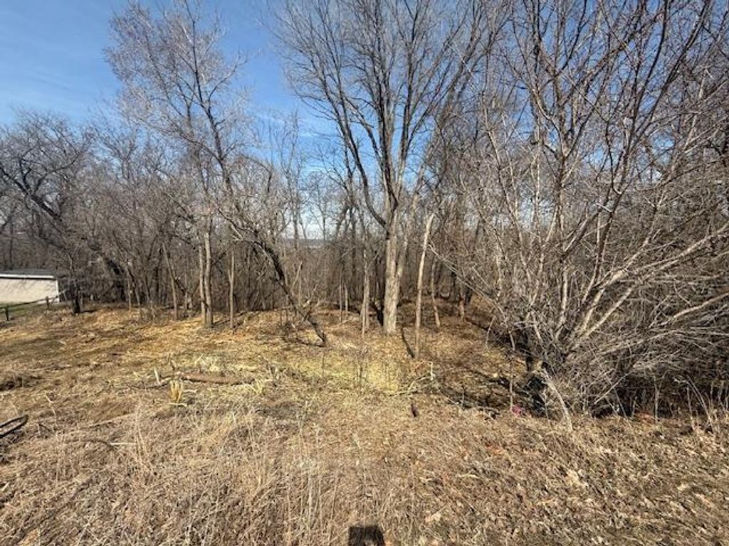 328 Limestone Road, Cannon Falls, MN 55009 — photo 4