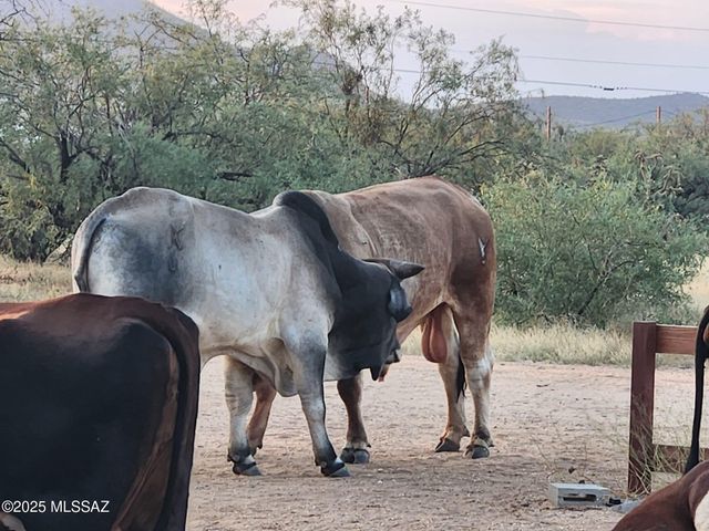 12440 S Coleman Road, Tucson, AZ 85735