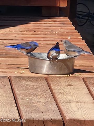 12440 S Coleman Road, Tucson, AZ 85735