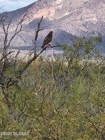 12440 S Coleman Road, Tucson, AZ 85735