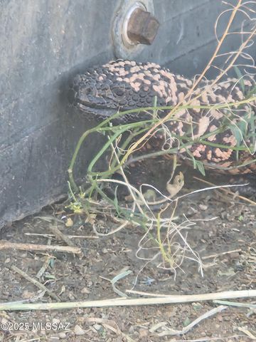 12440 S Coleman Road, Tucson, AZ 85735