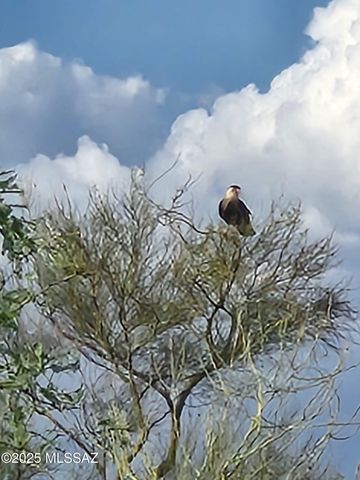 12440 S Coleman Road, Tucson, AZ 85735