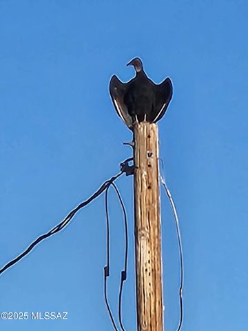 12440 S Coleman Road, Tucson, AZ 85735