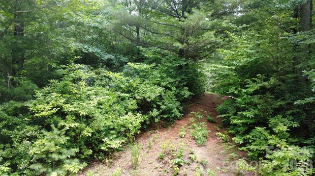 TBD Blowing Rock Road, Lenoir, NC 28645