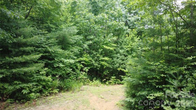 TBD Blowing Rock Road, Lenoir, NC 28645