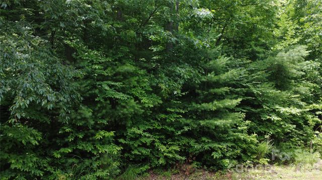 TBD Blowing Rock Road, Lenoir, NC 28645