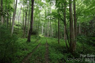TBD Blowing Rock Road, Lenoir, NC 28645