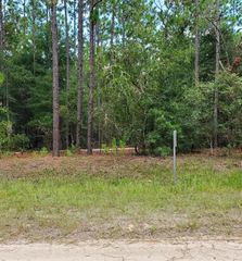 Land SW 136TH AVE RD, Ocala, FL 34481