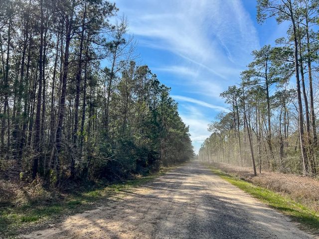 T-2 Zavalla Road, Mauriceville, TX 77626