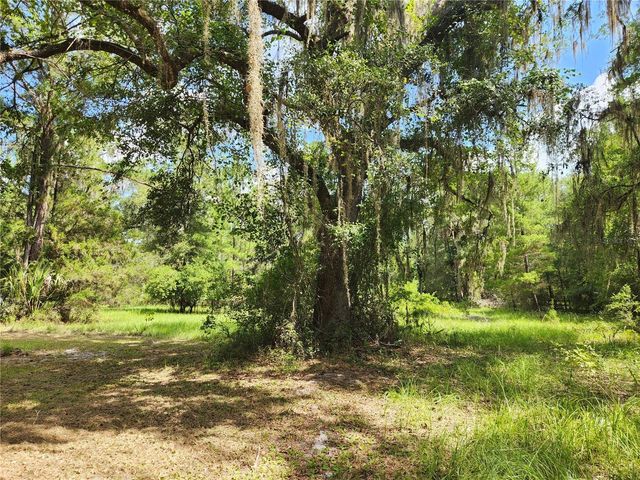 13501 NE 245TH STREET ROAD, Fort Mc Coy, FL 32134