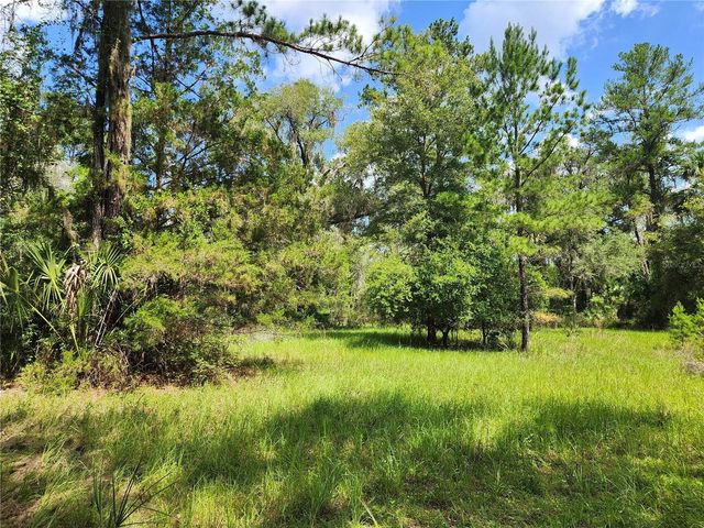 13501 NE 245TH STREET ROAD, Fort Mc Coy, FL 32134