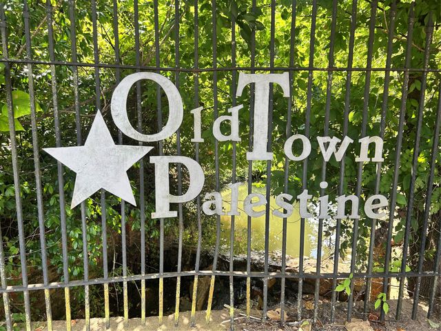 401 W Carolina Street, Palestine, TX 75803