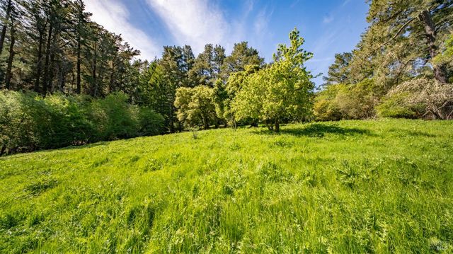 1 Alamo Way, Lagunitas, CA 94938