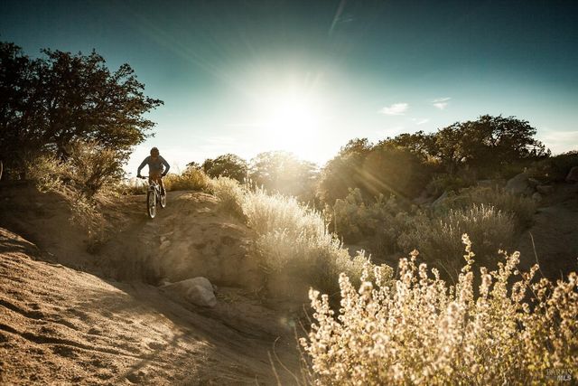 1 Alamo Way, Lagunitas, CA 94938