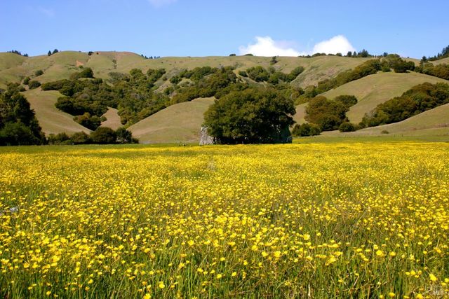 1 Alamo Way, Lagunitas, CA 94938