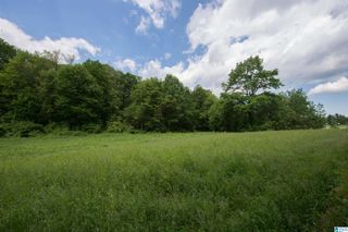 4160 CENTER POINT ROAD, Pinson, AL 35126