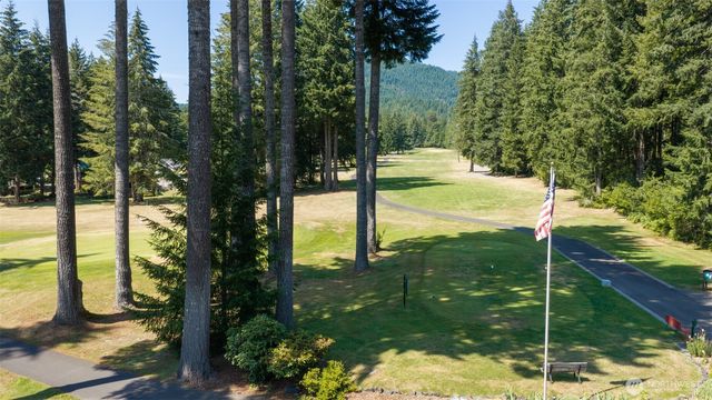 61 N Mt Noyes Way, Hoodsport, WA 98548