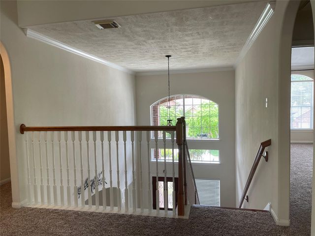2 Bryce Branch Circle, The Woodlands, TX 77382