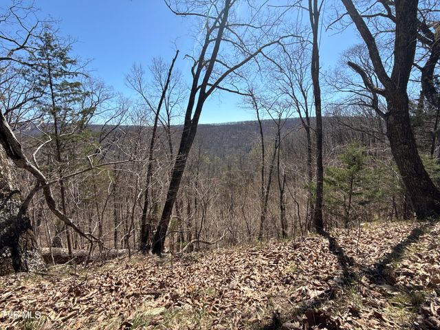 1529 Beech Creek Rd Road, Rogersville, TN 37857