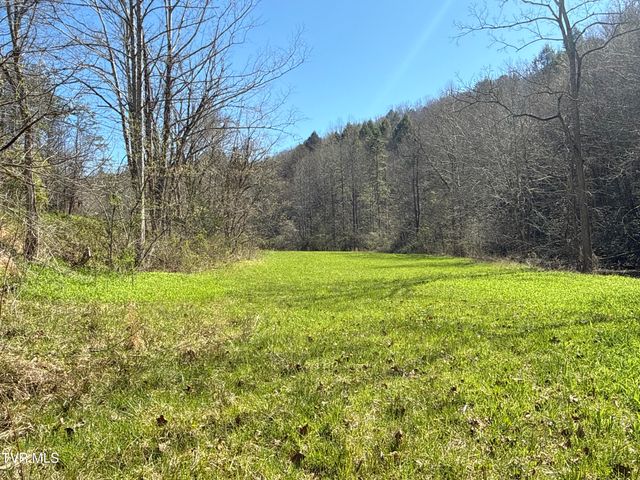 1529 Beech Creek Rd Road, Rogersville, TN 37857