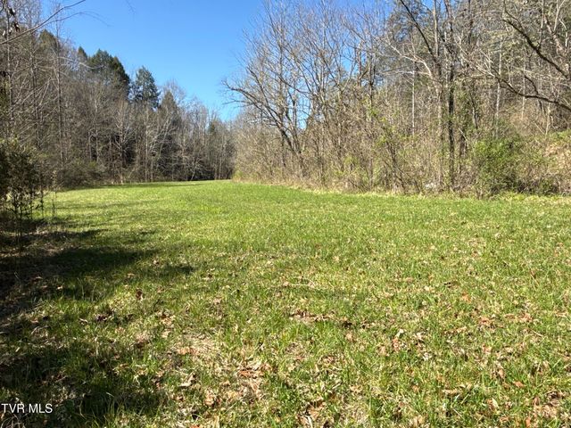1529 Beech Creek Rd Road, Rogersville, TN 37857