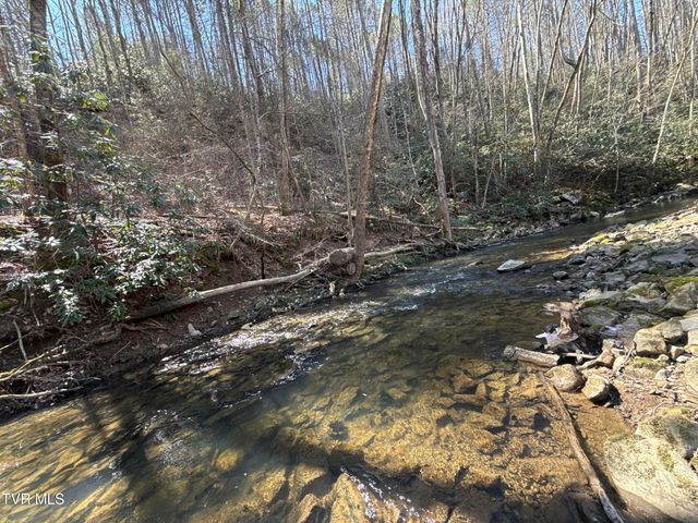 1529 Beech Creek Rd Road, Rogersville, TN 37857