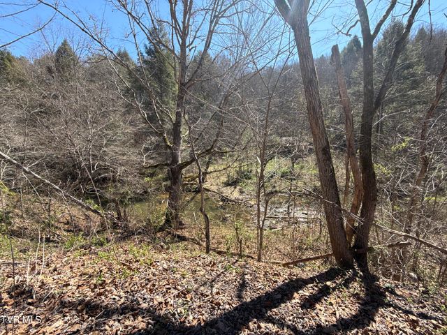 1529 Beech Creek Rd Road, Rogersville, TN 37857