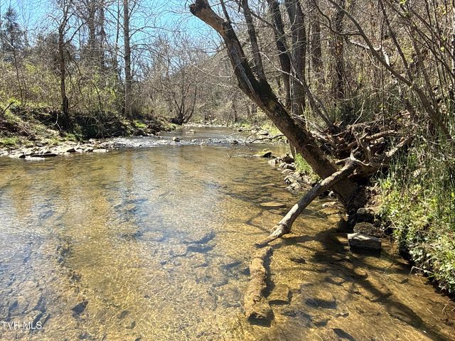 1529 Beech Creek Rd Road, Rogersville, TN 37857