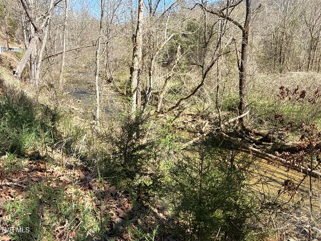 1529 Beech Creek Rd Road, Rogersville, TN 37857