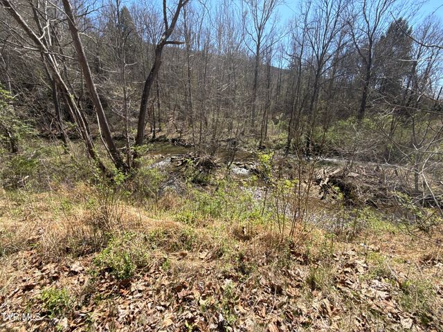 1529 Beech Creek Rd Road, Rogersville, TN 37857