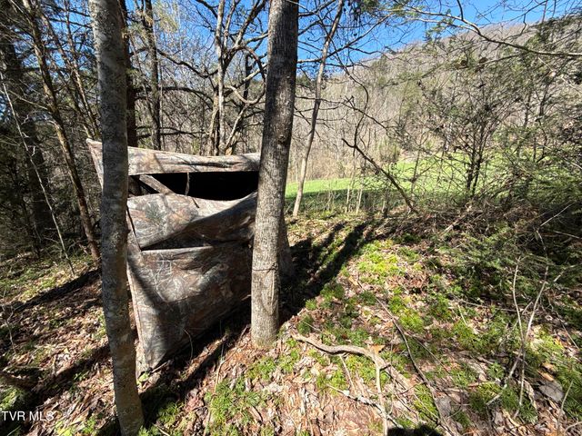 1529 Beech Creek Rd Road, Rogersville, TN 37857