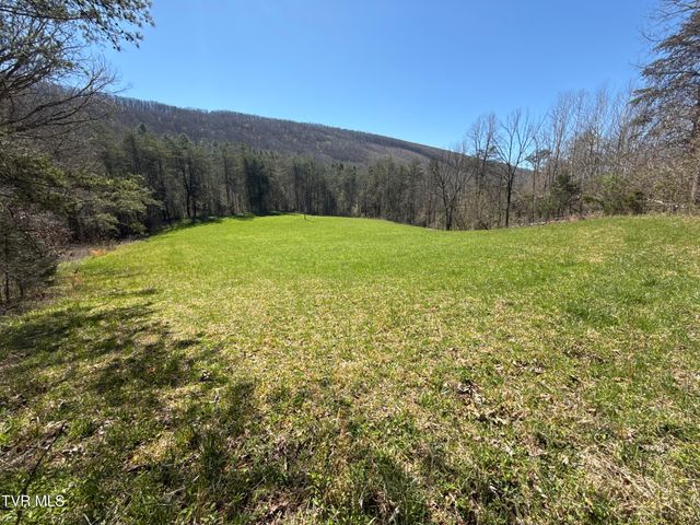 1529 Beech Creek Rd Road, Rogersville, TN 37857
