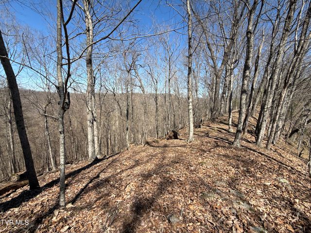 1529 Beech Creek Rd Road, Rogersville, TN 37857