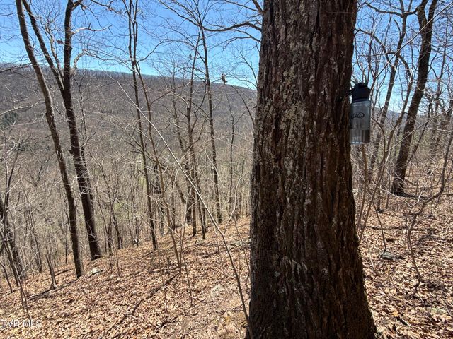 1529 Beech Creek Rd Road, Rogersville, TN 37857