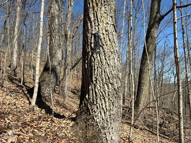 1529 Beech Creek Rd Road, Rogersville, TN 37857