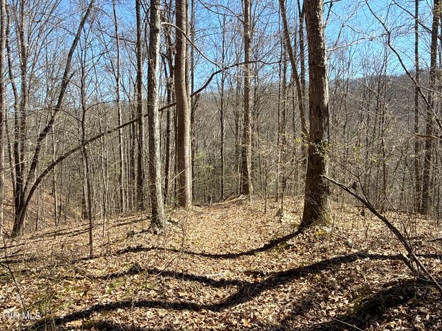 1529 Beech Creek Rd Road, Rogersville, TN 37857