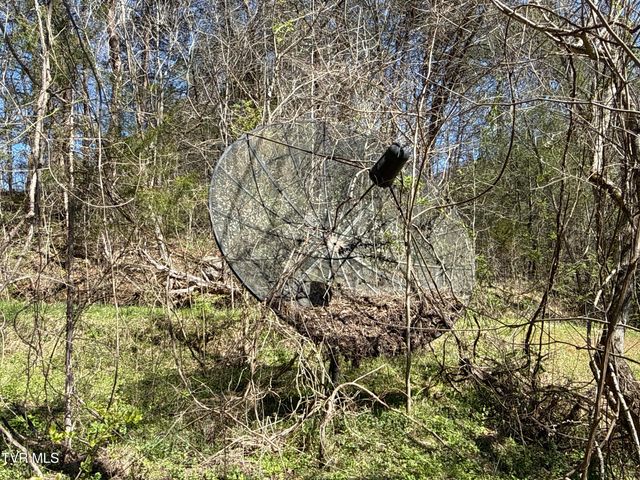 1529 Beech Creek Rd Road, Rogersville, TN 37857