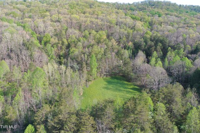 1529 Beech Creek Rd Road, Rogersville, TN 37857