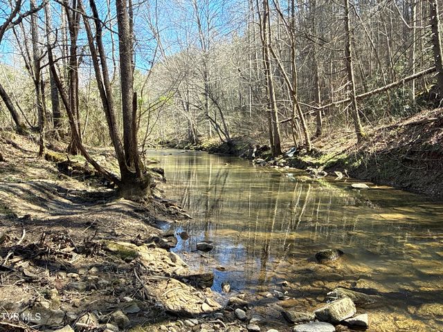 1529 Beech Creek Rd Road, Rogersville, TN 37857