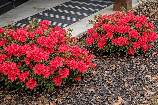 712 Clarence Street, Tomball, TX 77375