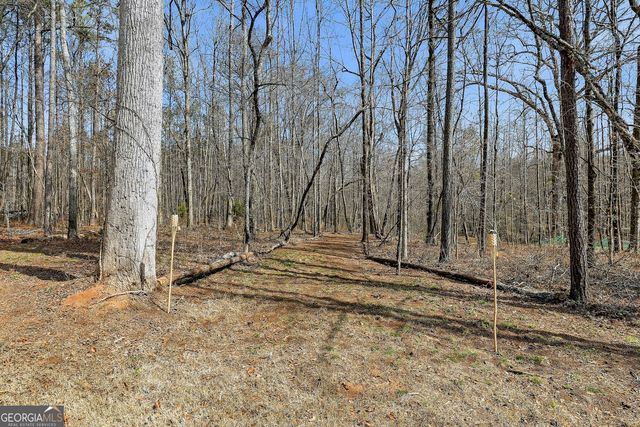 19 Allison Road, Moreland, GA 30259