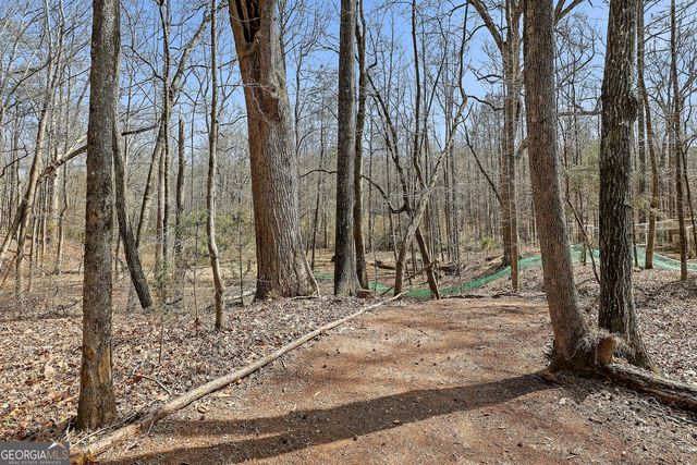 19 Allison Road, Moreland, GA 30259