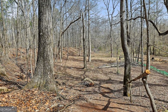 19 Allison Road, Moreland, GA 30259