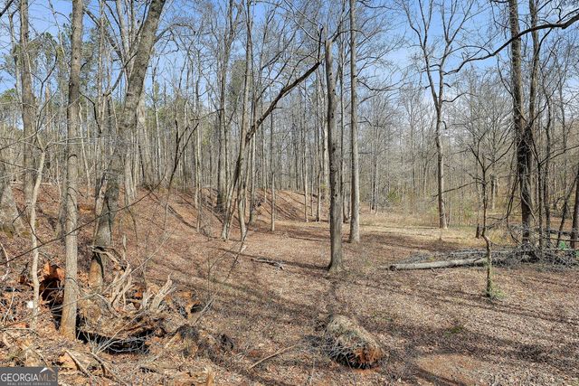 19 Allison Road, Moreland, GA 30259