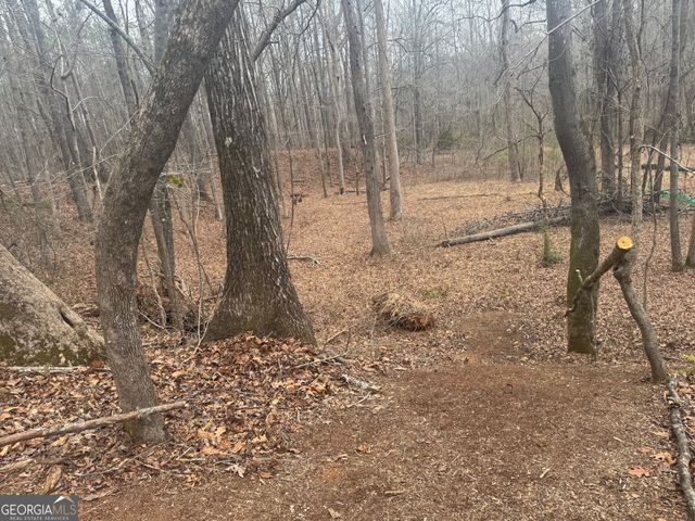 19 Allison Road, Moreland, GA 30259