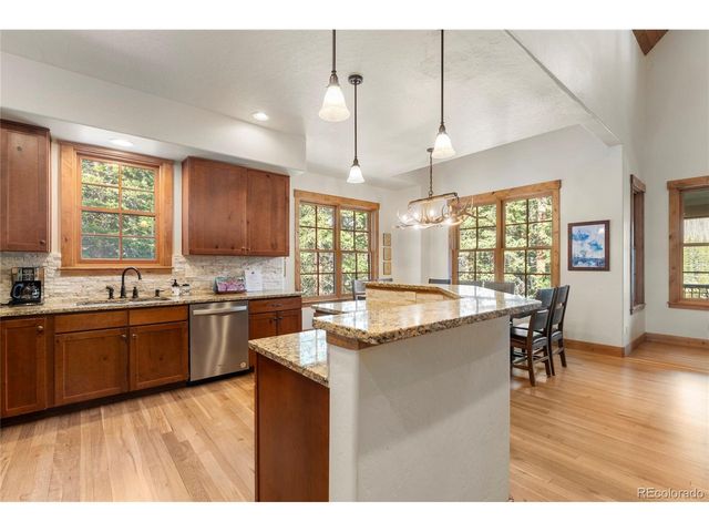 50 Cooney Ct, Blue River, CO 80424