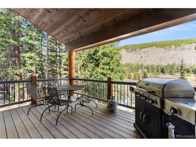 50 Cooney Ct, Blue River, CO 80424