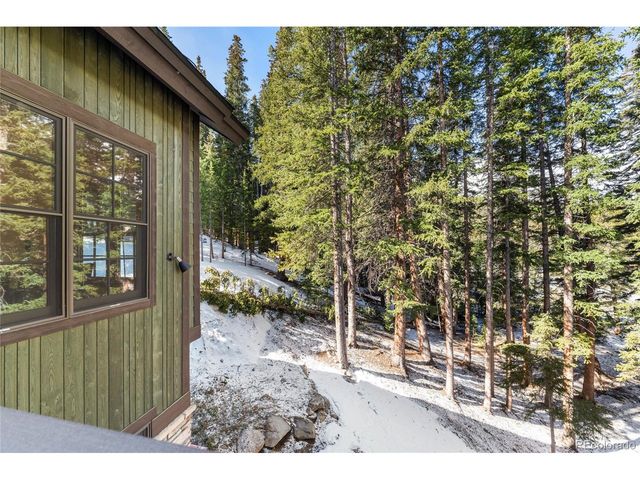 50 Cooney Ct, Blue River, CO 80424
